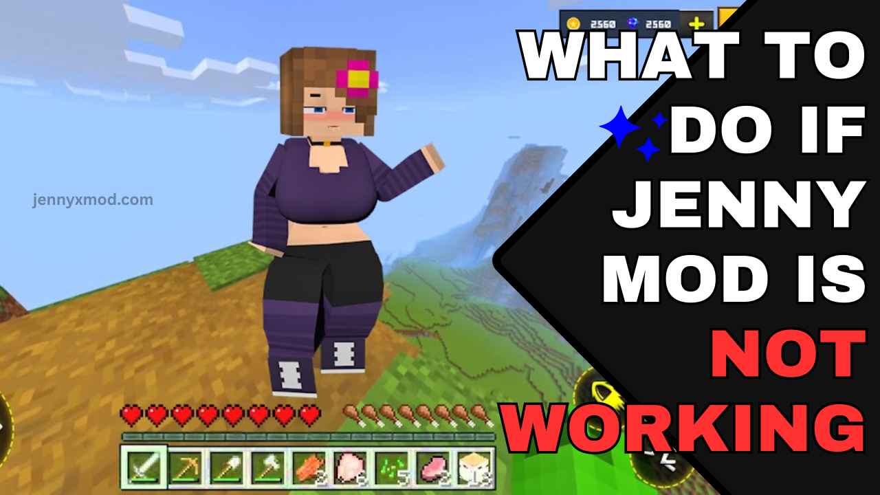 What to do If Jenny Mod is Not Working